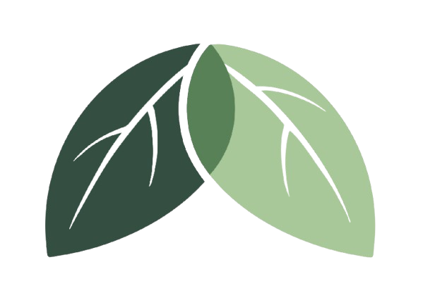 Canopy logo